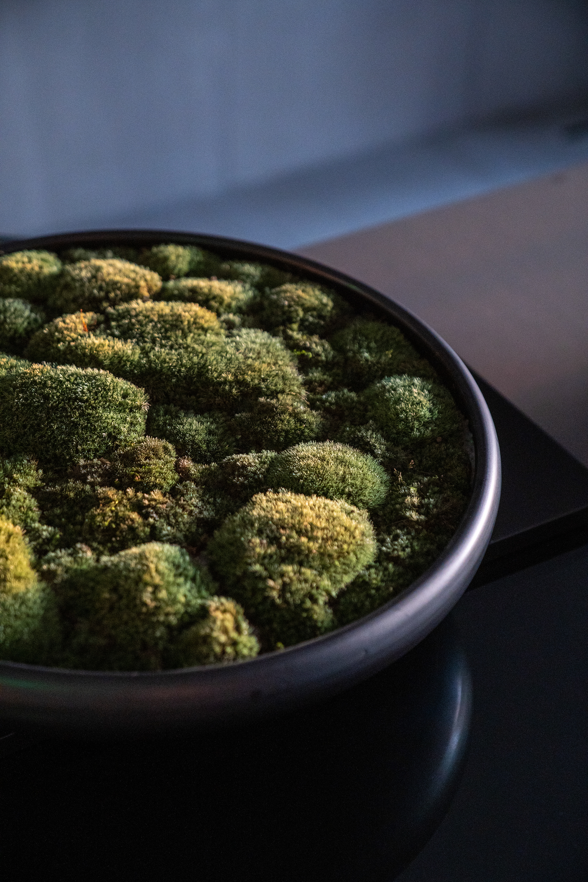 DAYONE CAPITAL OFFICE · 日初资本丨中国北京丨东木筑造-38