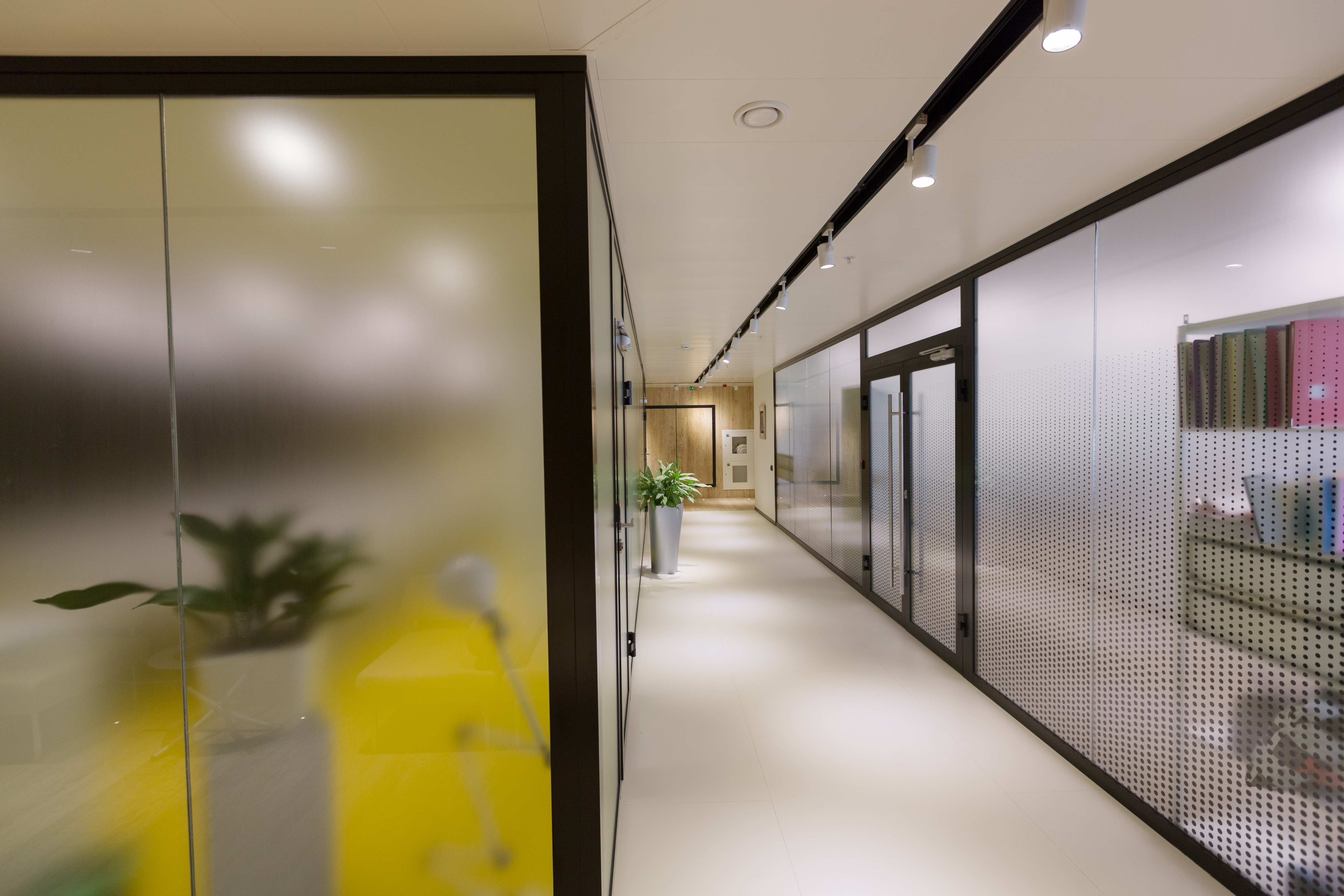 俄罗斯 MRTS 公司办公室——自然与科技的和谐融合-48