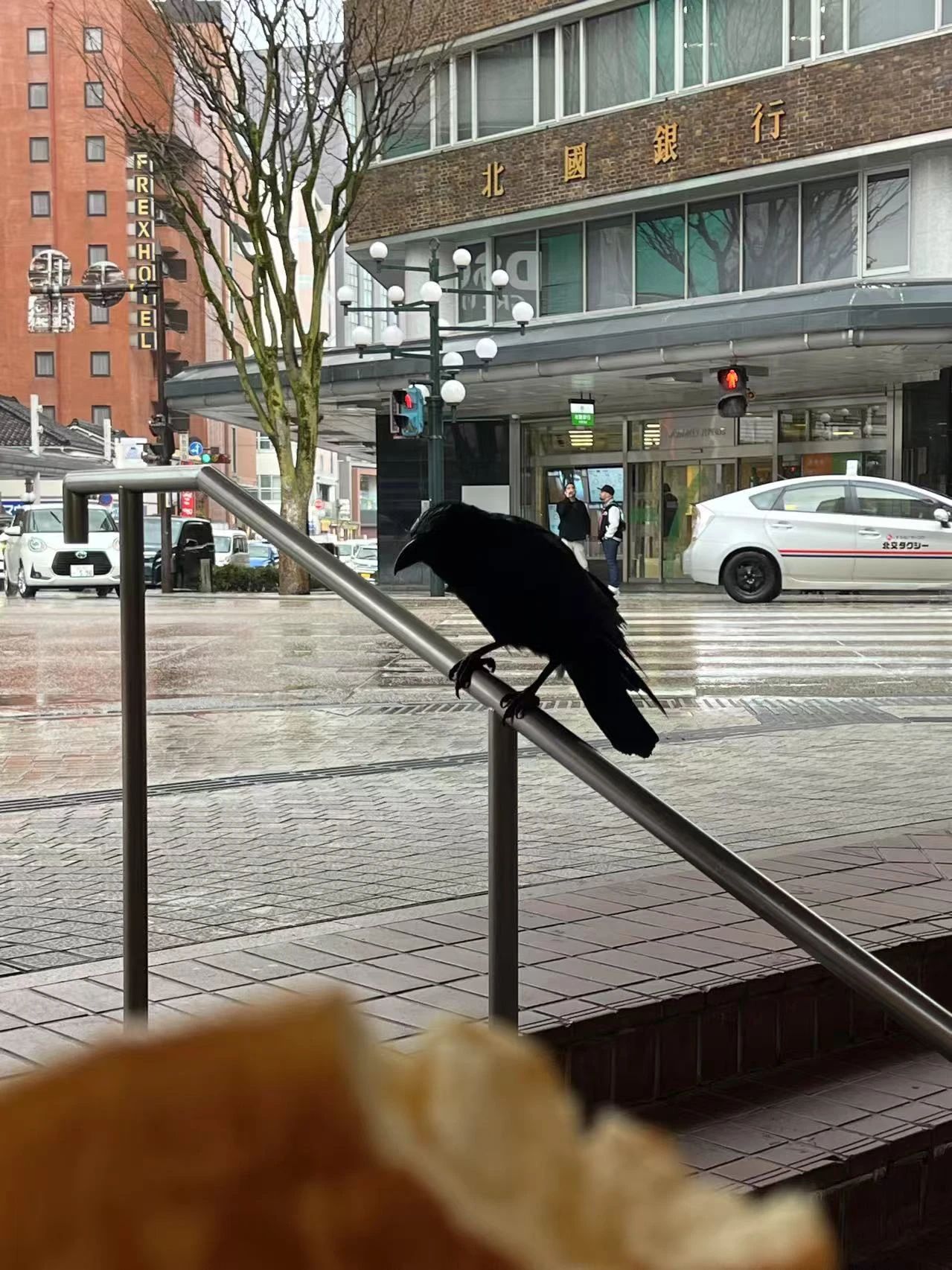 谷口吉郎·吉生纪念 金泽建筑馆丨日本丨谷口吉生-324