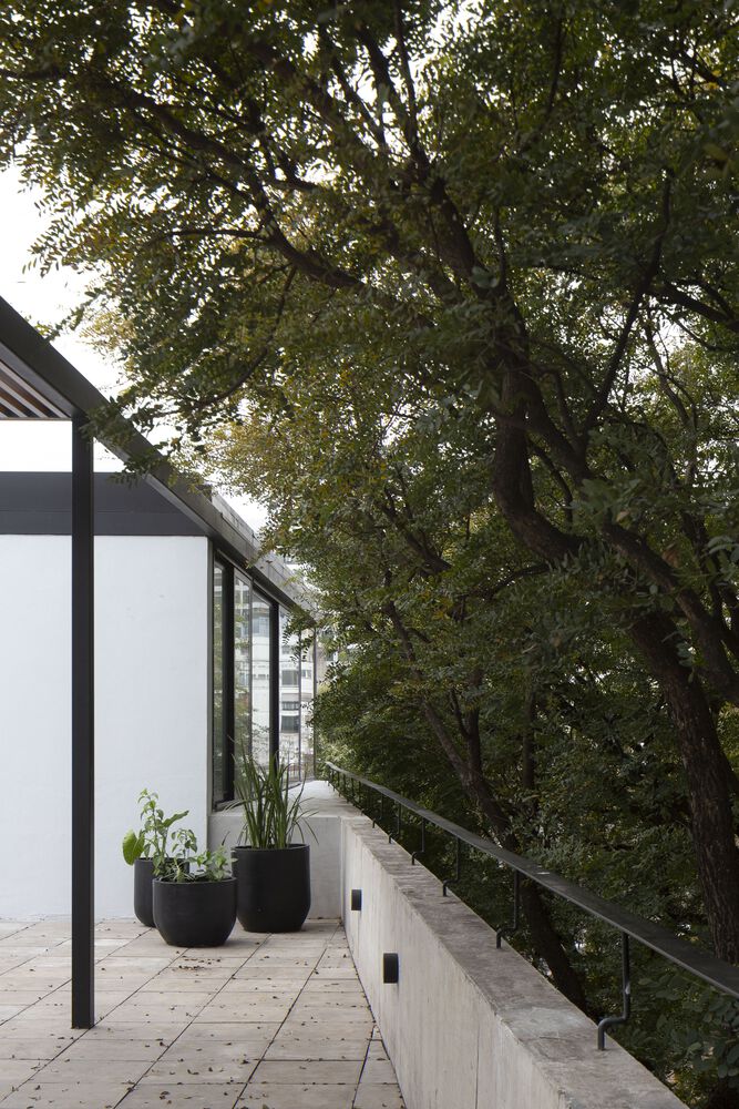 阿根廷 Zapiola 301 公寓楼丨阿根廷布宜诺斯艾利斯-42