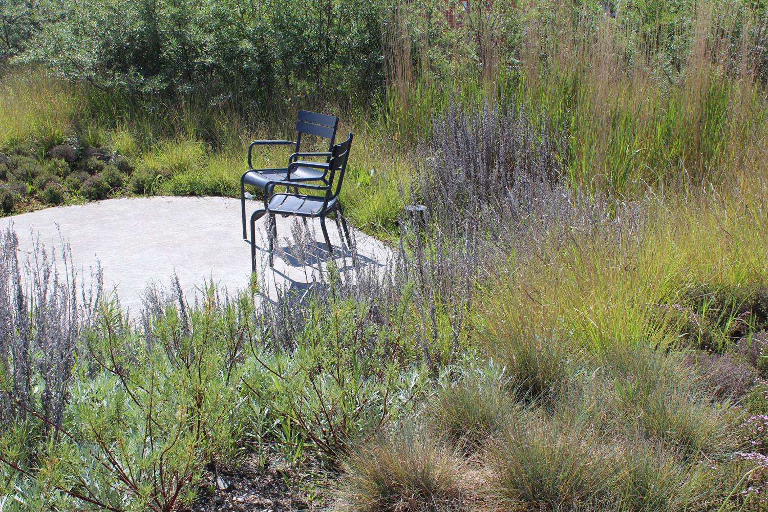 Stranden – Rumsans（Stranden海滩项目）丨丹麦丨Kragh & Berglund-57