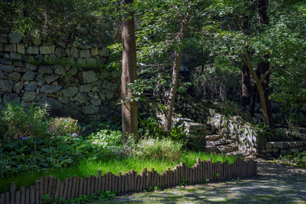 “百年中法友谊的见证者”——北林地景助力贝家花园焕新开放-51