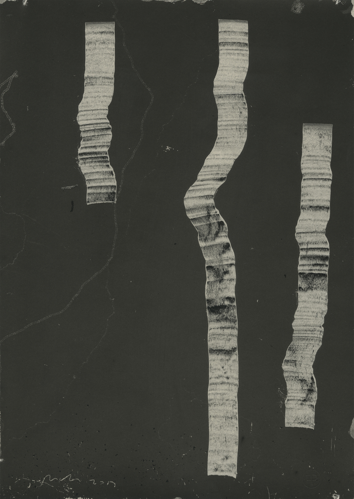 智利垂直景观公园 · 融合自然的艺术雕塑-55