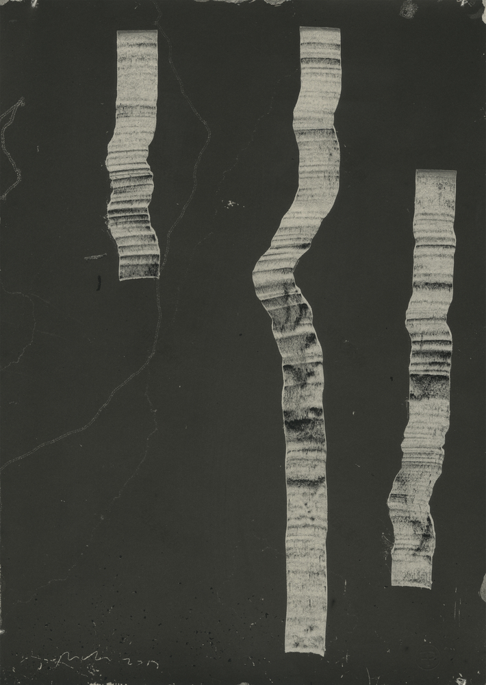 智利垂直景观公园 · 融合自然的艺术雕塑-55