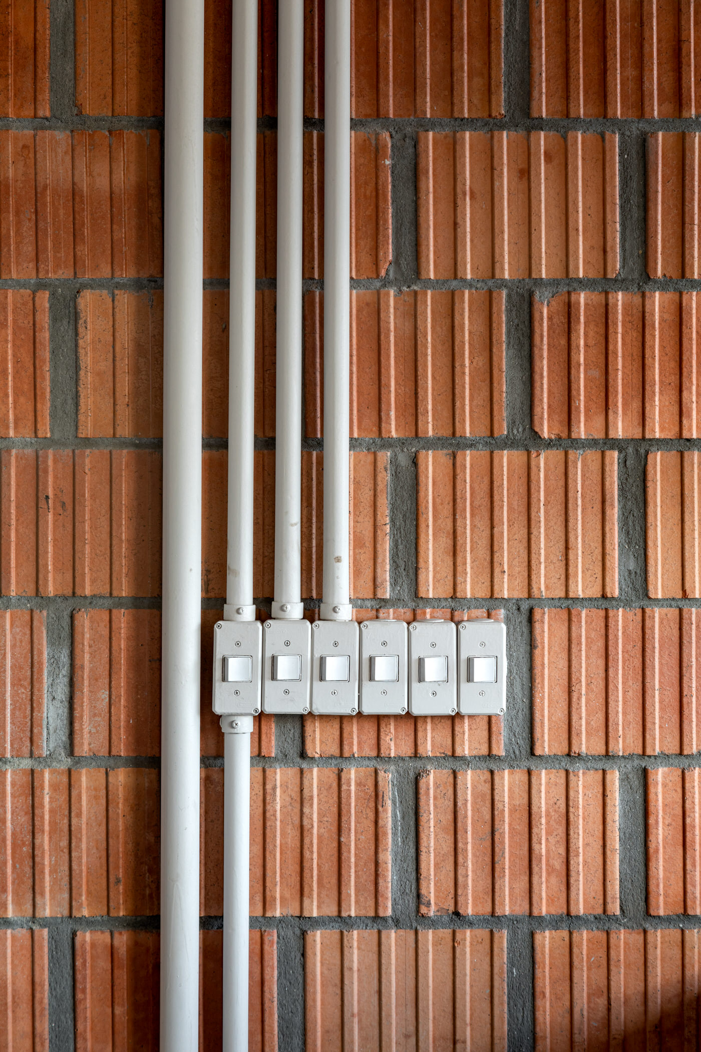 巴西 Mãe Terra 总部丨巴西圣保罗丨Memola Estudio,Vitor Penha-62