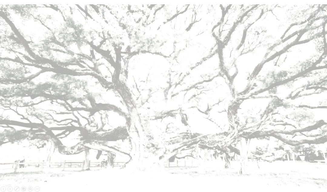 泰禾福州·三江城二期丨中国福州丨上海柏创智诚建筑设计有限公司-62