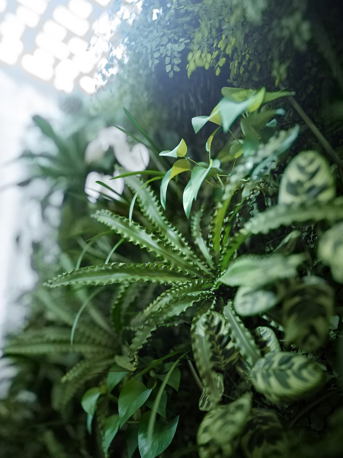 Beldi Stories II 艺术展览-5