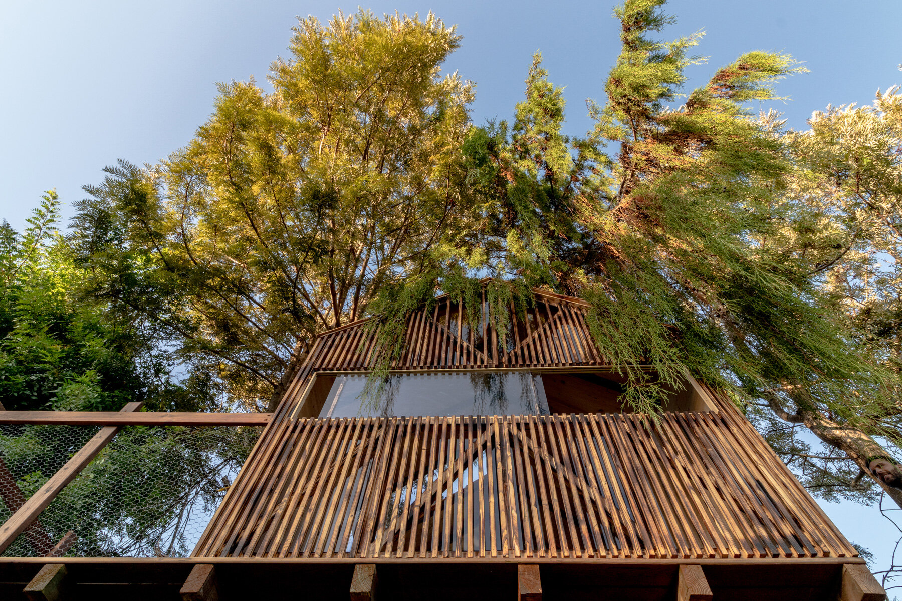 葡萄牙树屋 | 回归自然的童年记忆-21