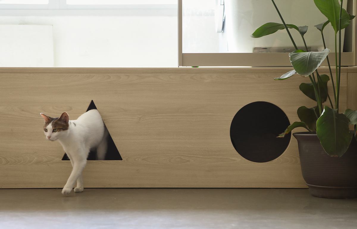 Cat House,猫之家-12