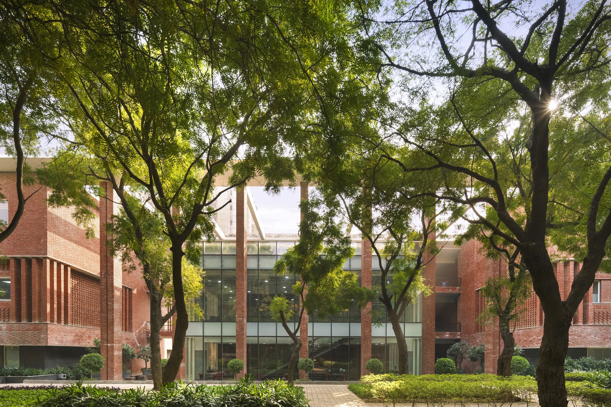 拉利特苏里酒店管理学院丨印度丨Morphogenesis-37