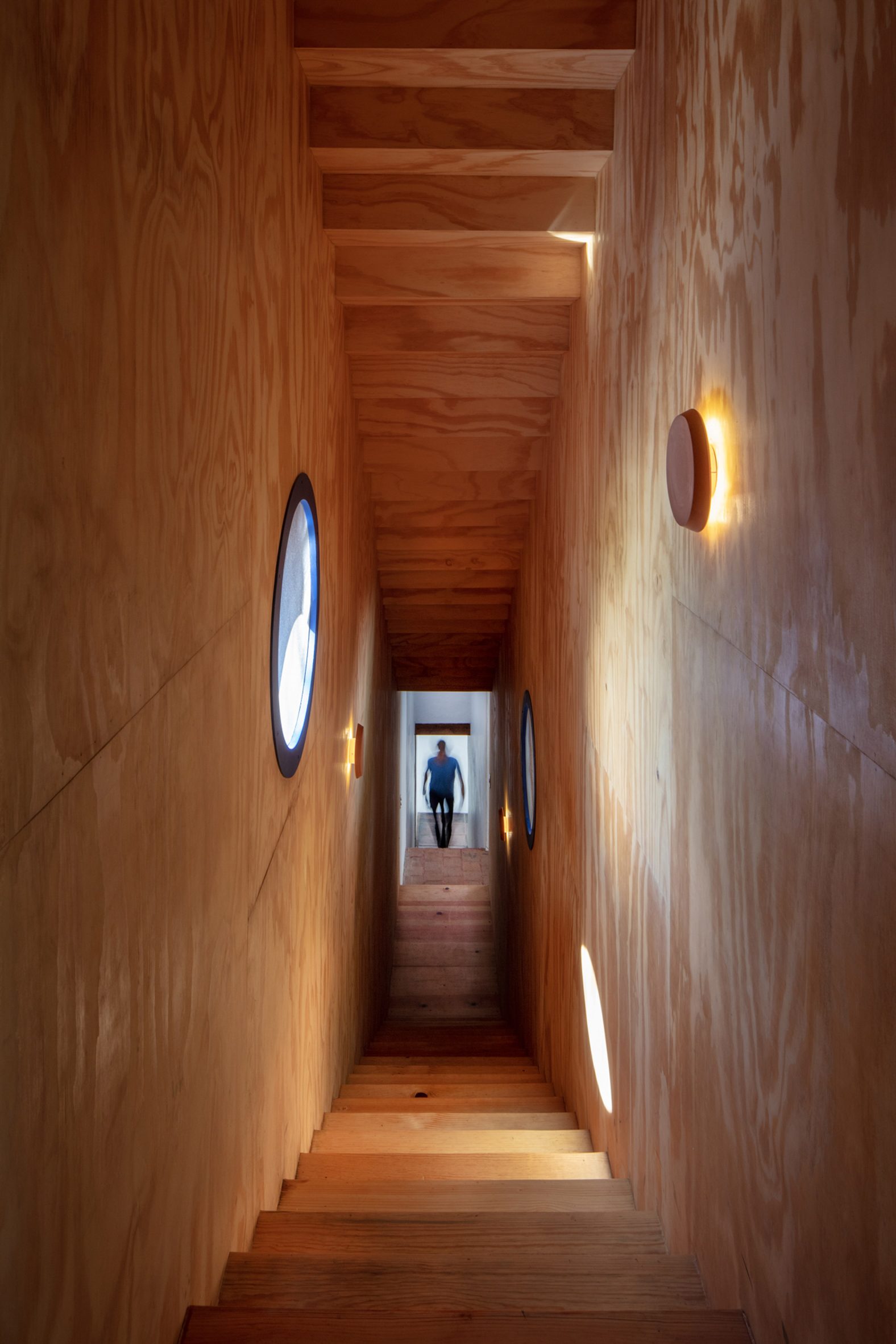 Wooden Anne·（墨西哥住宅扩建项目）丨Pedro & Juana-27