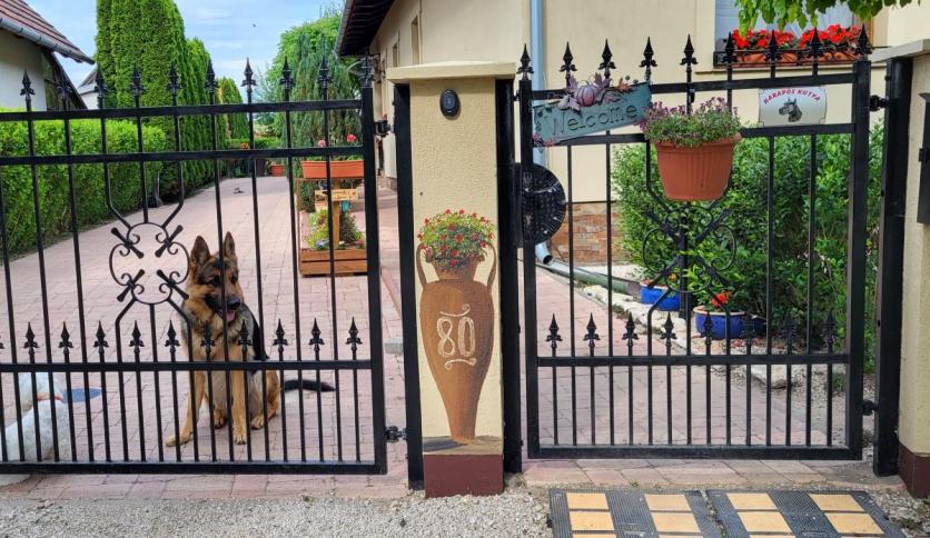 Balaton湖畔地中海风露台墙绘项目丨Szalay Benjámin-22