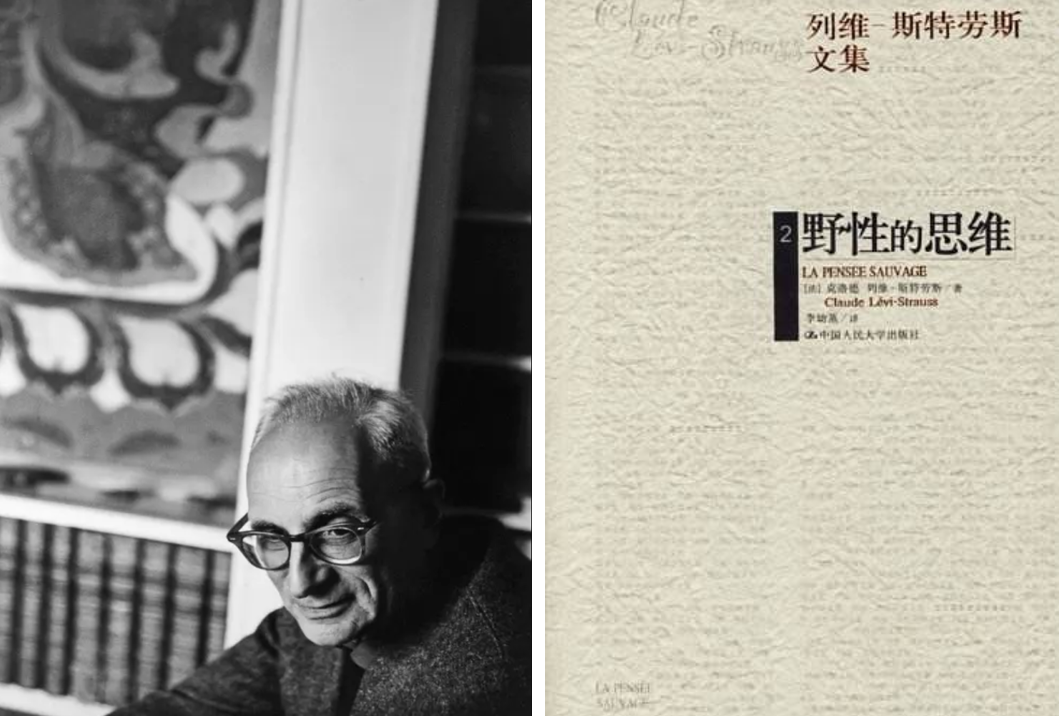 石头缝里的生机 · 大地之家的绿色创新设计-14