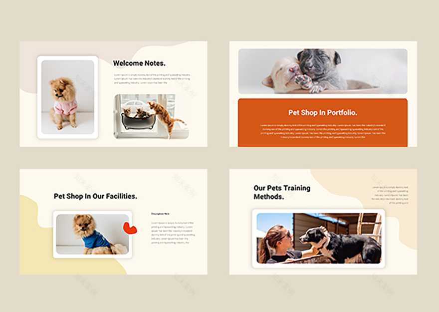 宠物店展示模板-4