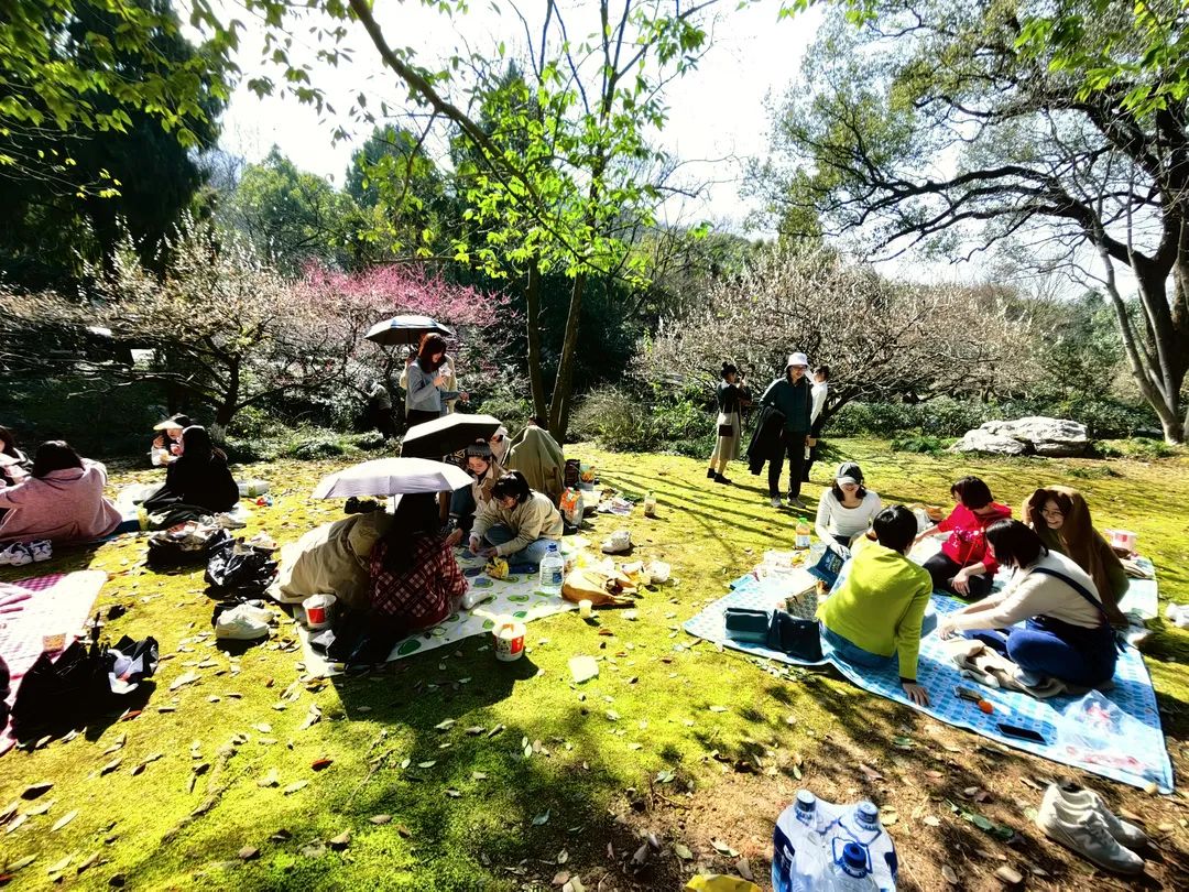 春日踏青,与女神共赴一场粉色的约会-31