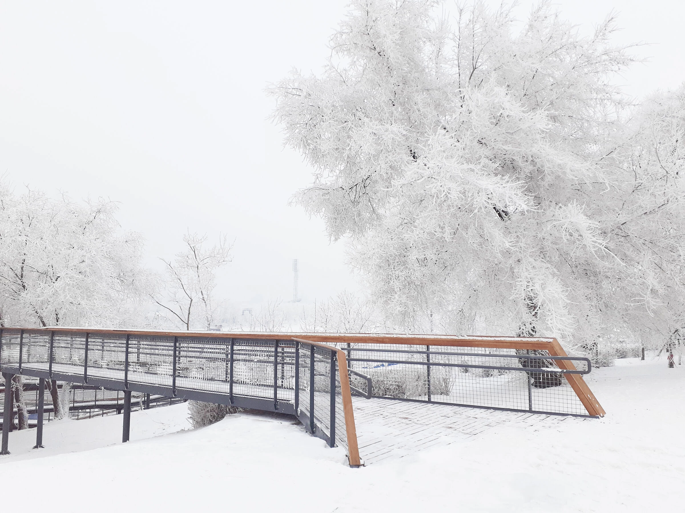 带观景平台的斜坡丨俄罗斯克拉斯诺亚尔斯克-26