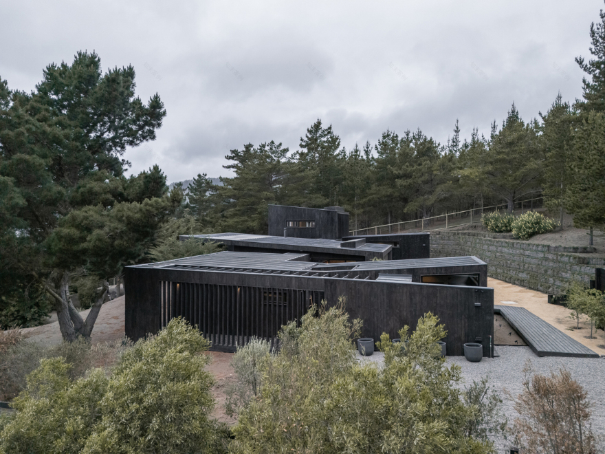 丨智利丨reBA Studio-28