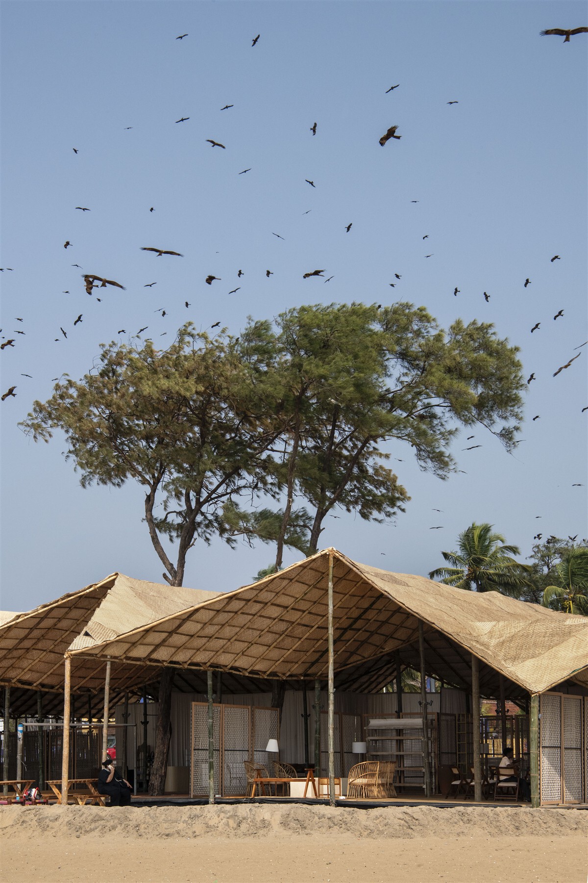 2026年喀拉拉邦文学节德国馆丨印度班加罗尔丨The Purple Ink Studio-23