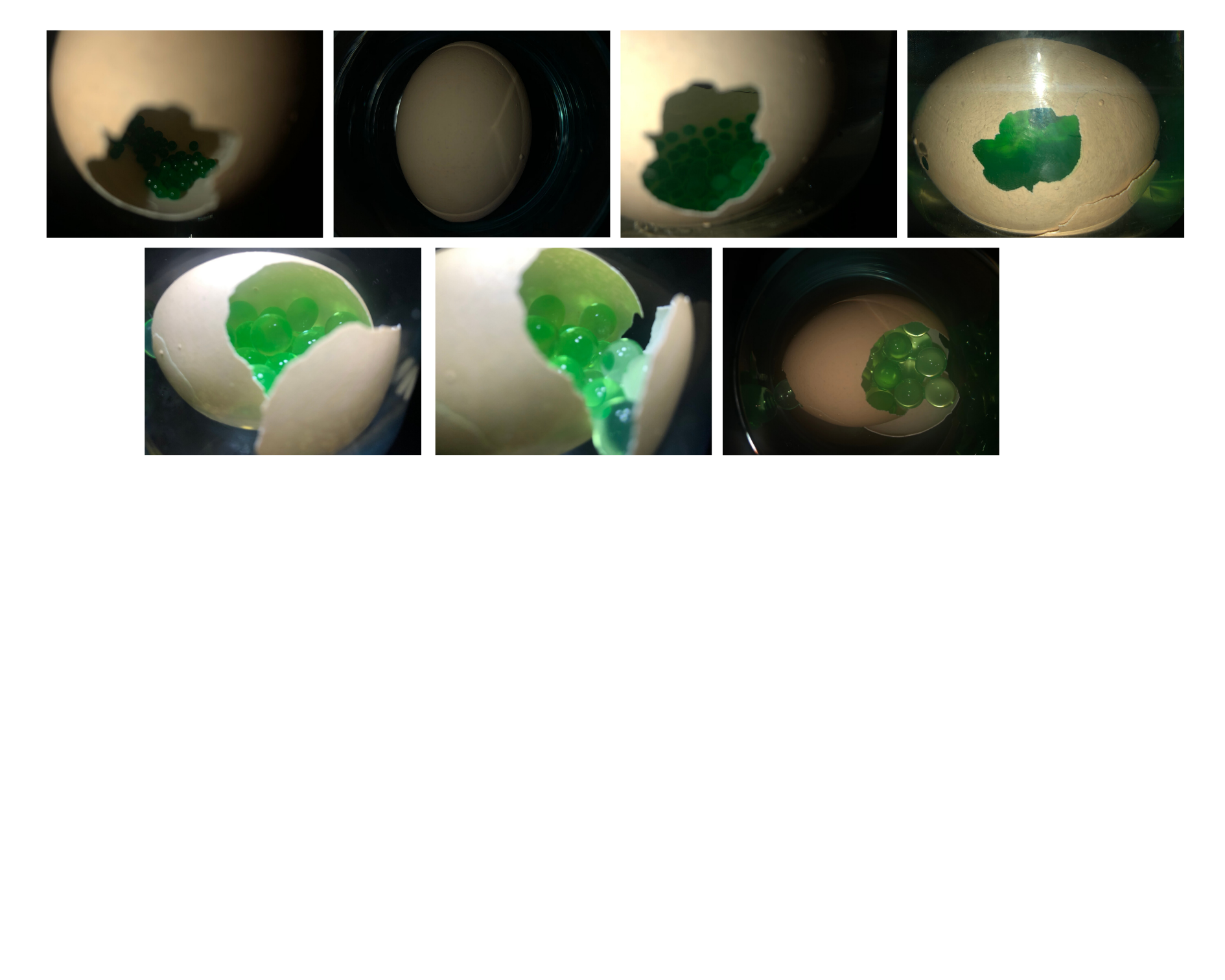 空间与自然元素-40