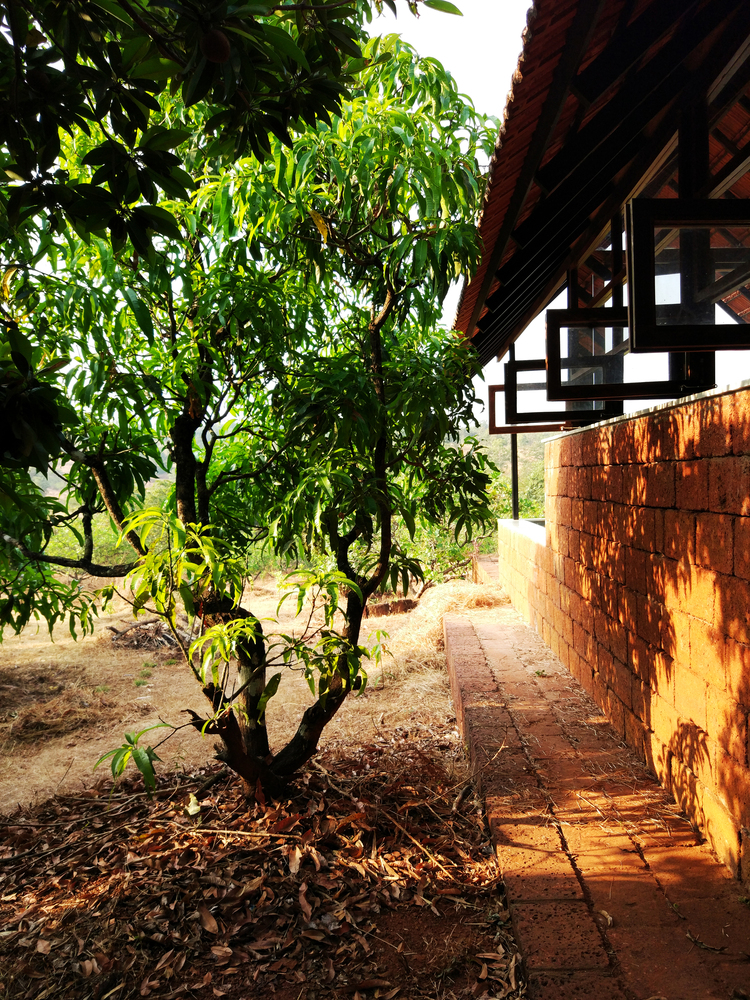 印度乡间绿意盎然的退休之家-31