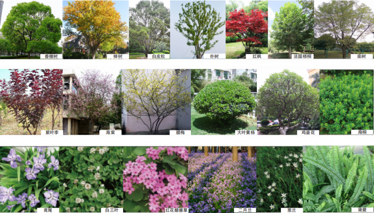 华蓥市“海绵城市”综合整治工程丨中国四川丨中鼎世纪工程设计有限公司-45