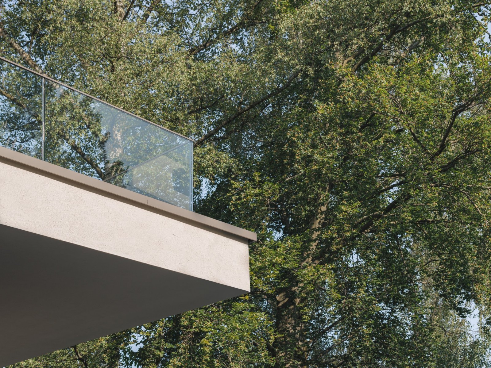 瑞士穆尔 HDPF 设计极简住宅 温暖木质与明亮白墙的对比-4