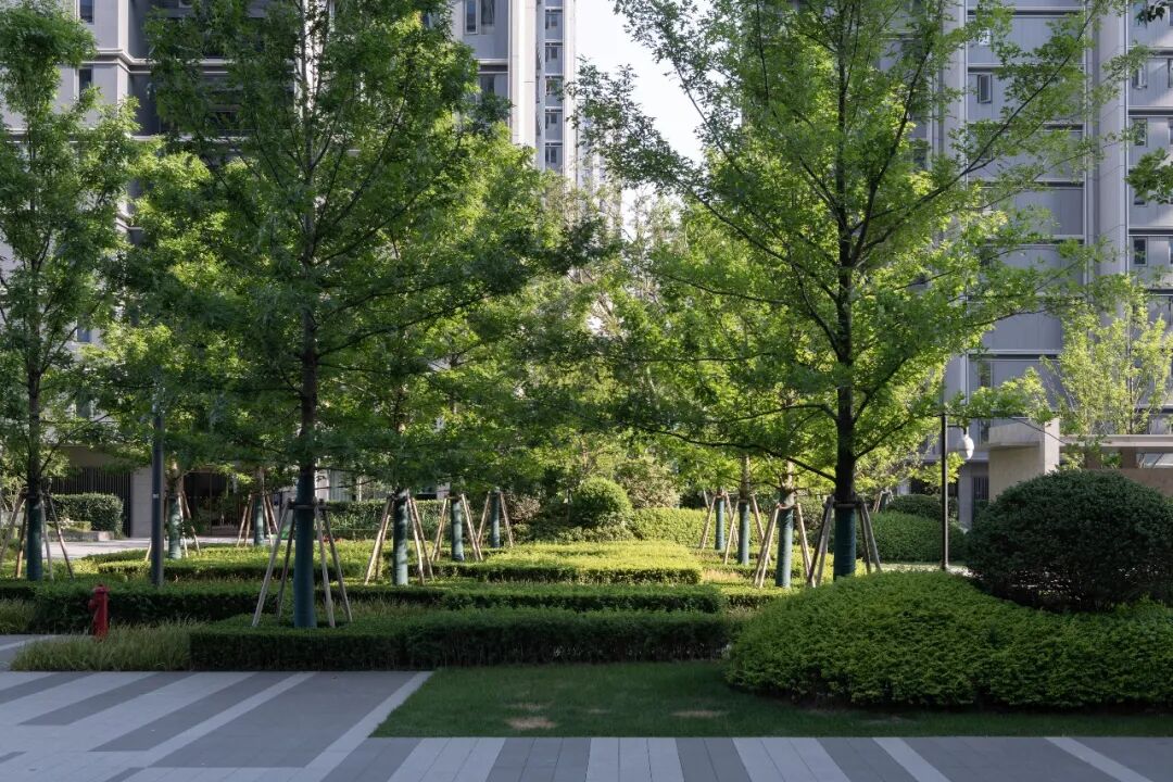 杭州万科河语光年丨中国杭州丨本色营造-70