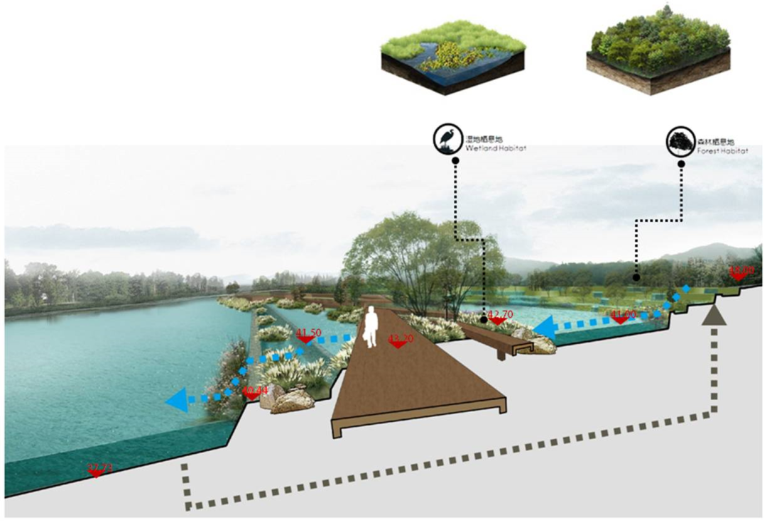 长沙圭塘河生态公园 | 城市与自然的和谐交响-75