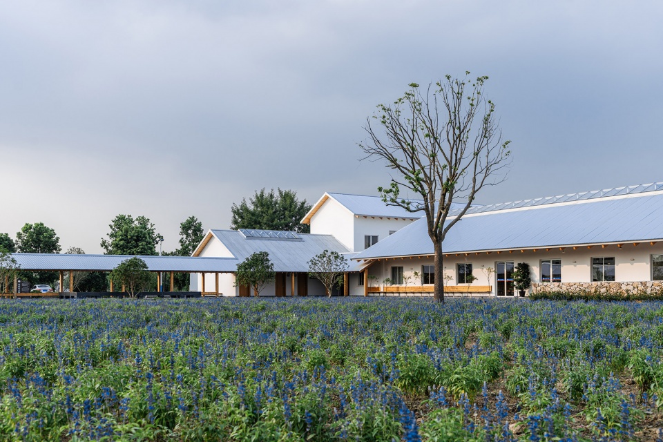 张马游客中心，上海 / 致正建筑工作室-27