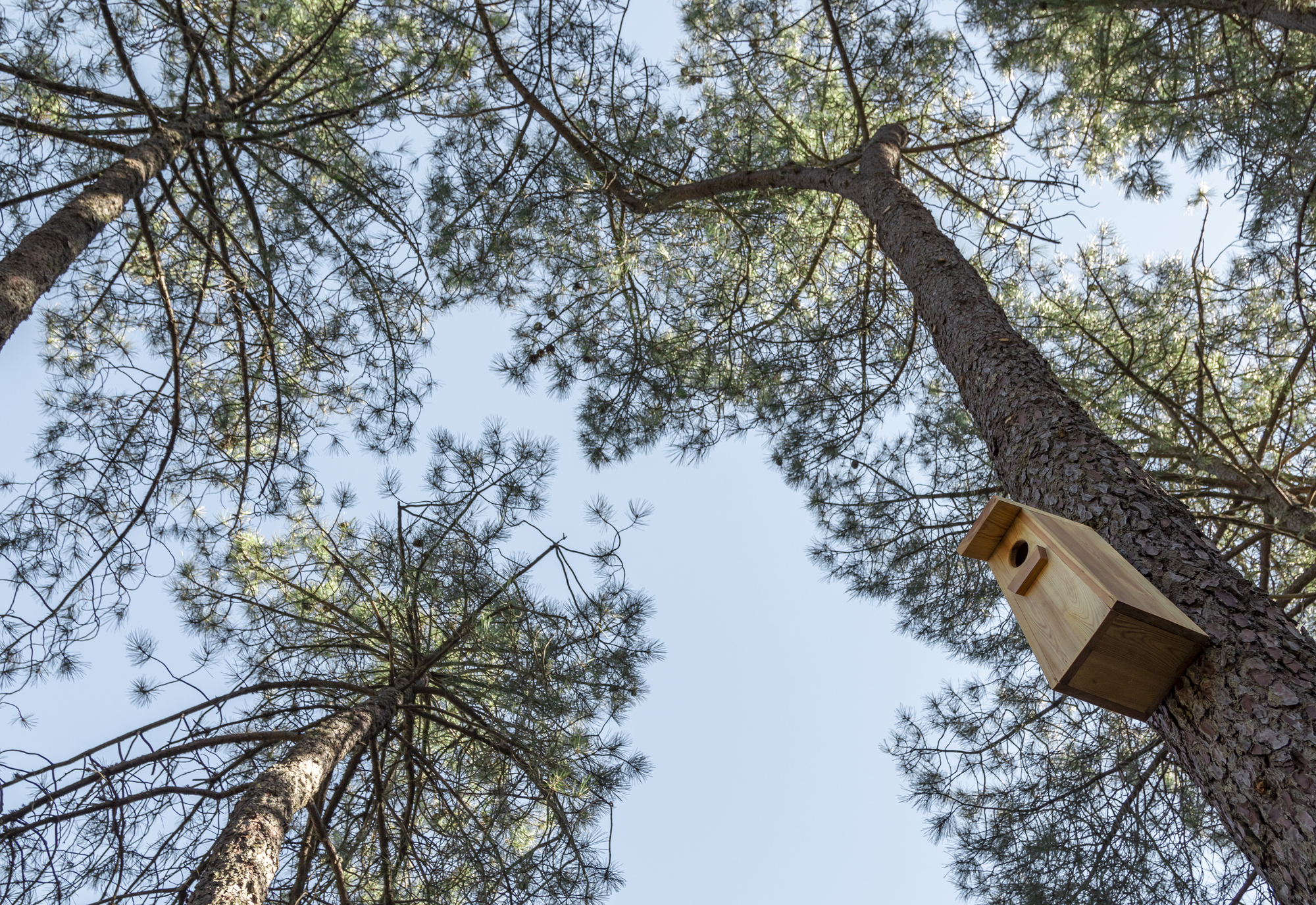 爱的小屋，（远程）工作住所丨西班牙马德里丨Husos Architects-42