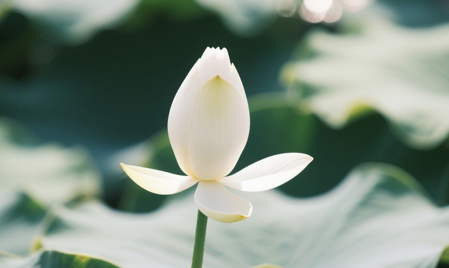 工程里程碑丨宁波中心大厦超高层项目竣工交付-30