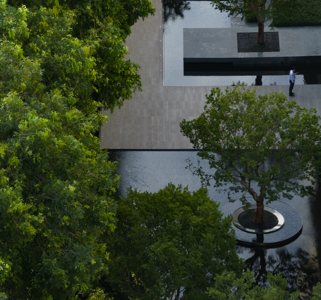 自然之森·艺术生活 | 华润置地旗下湛江润府-18
