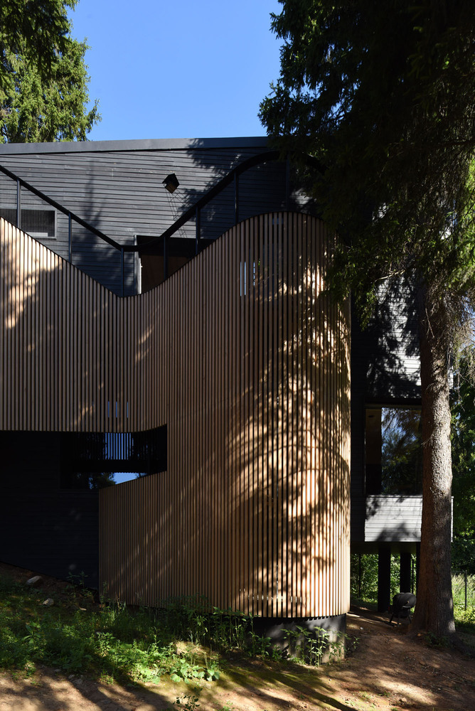 俄罗斯莫斯科 Oblast 老松树环绕的生态家园-42