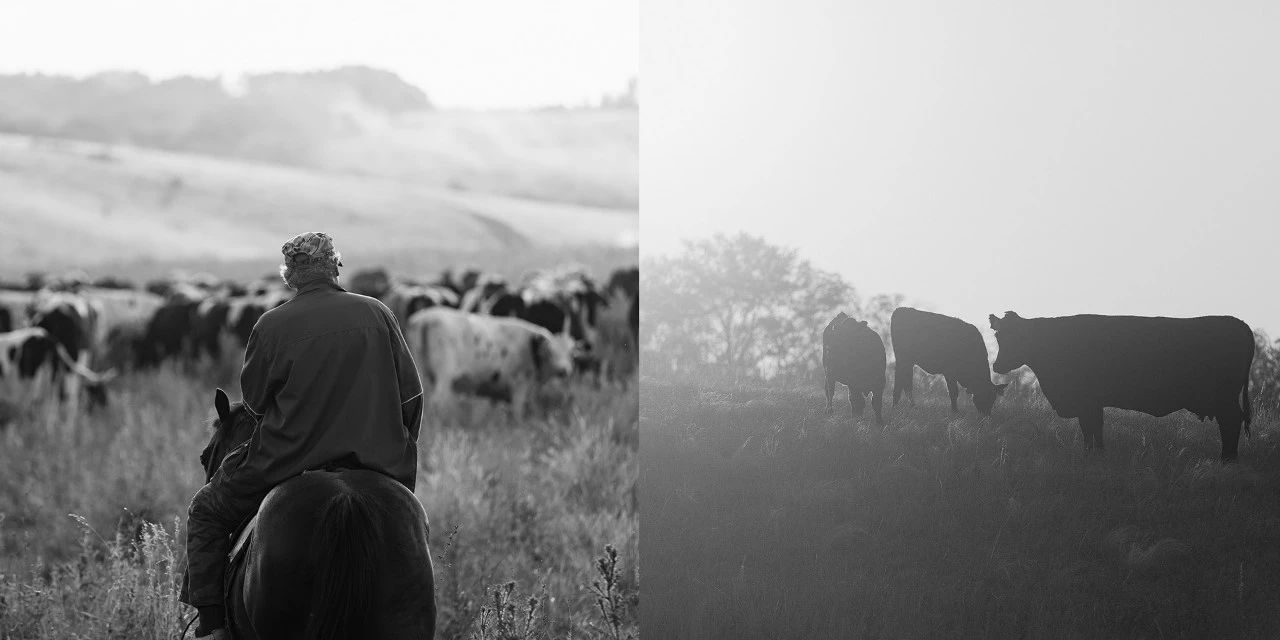 Whitestone · 堡垒之家丨俄罗斯沃罗涅什丨Better Architects-11