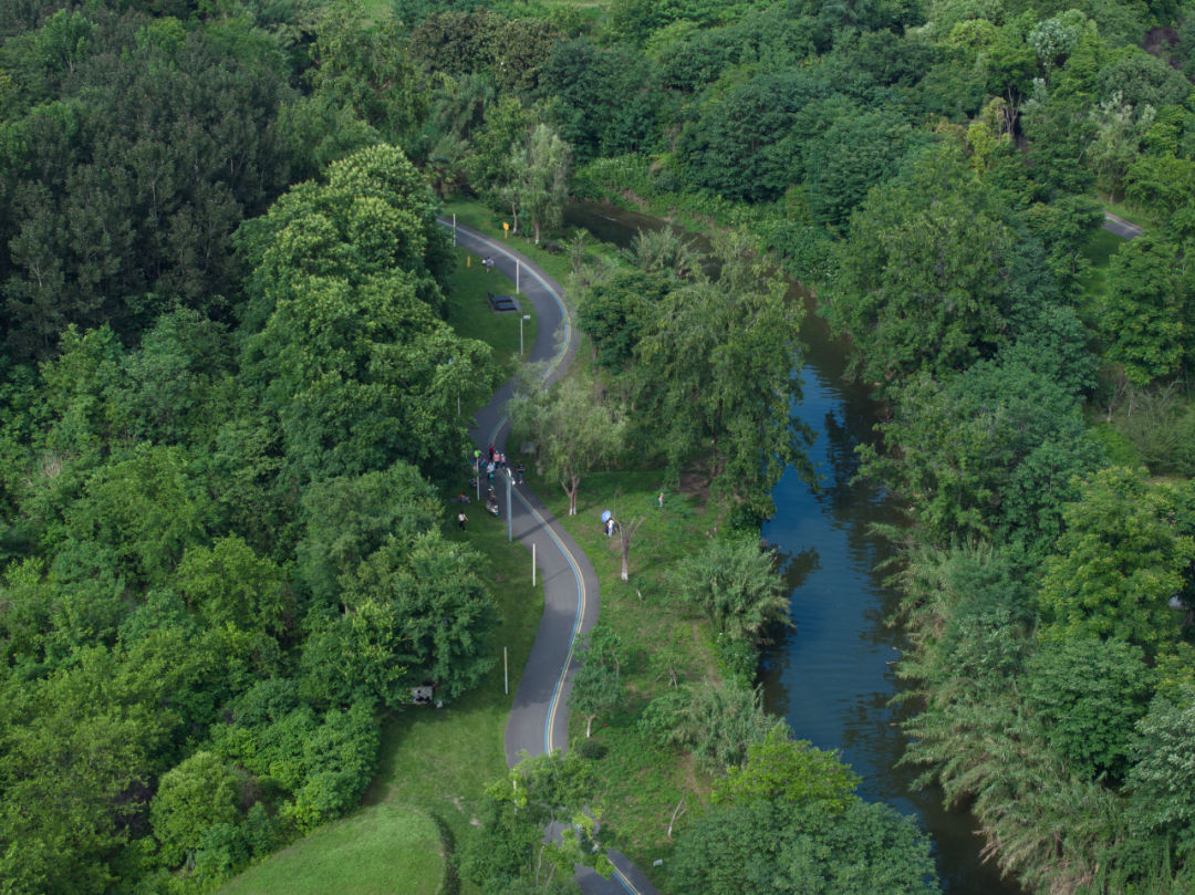 白鹭湾湿地公园自然探索基地丨中国成都丨上海柏熙标识有限公司-23