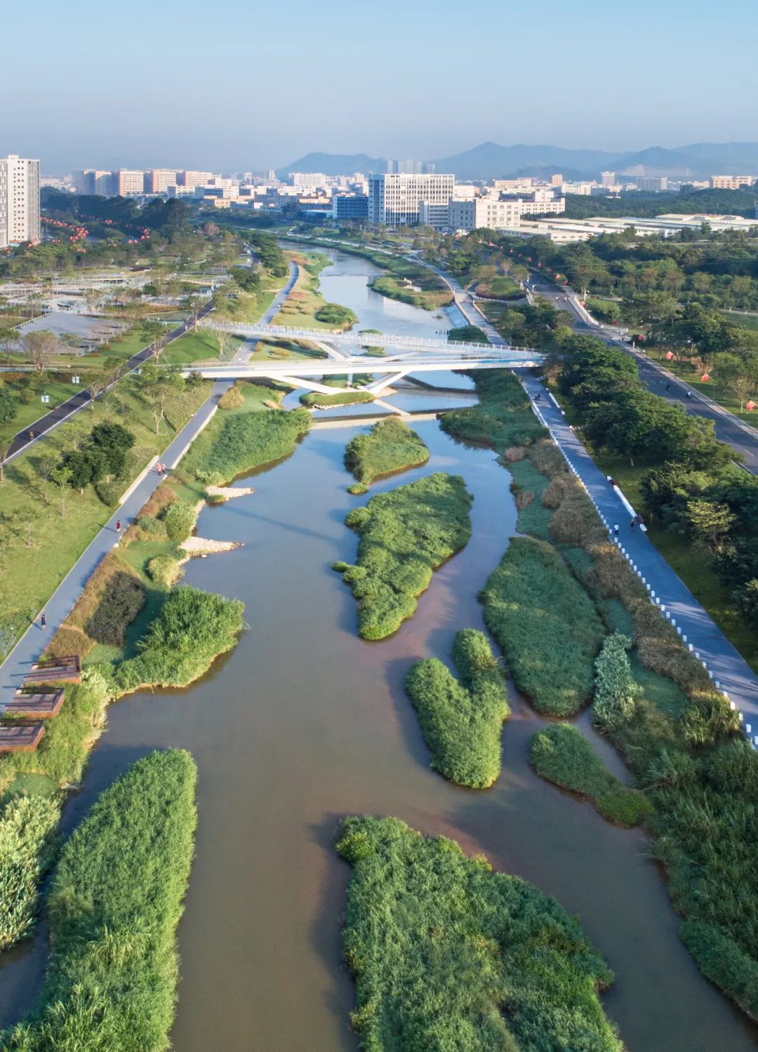 茅洲河碧道·光明段生态修复试点-40