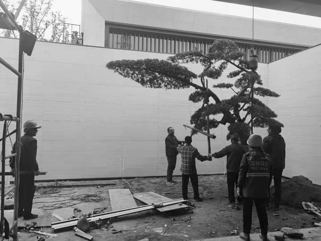 觅·无尽之境│泰州中南·君启-80