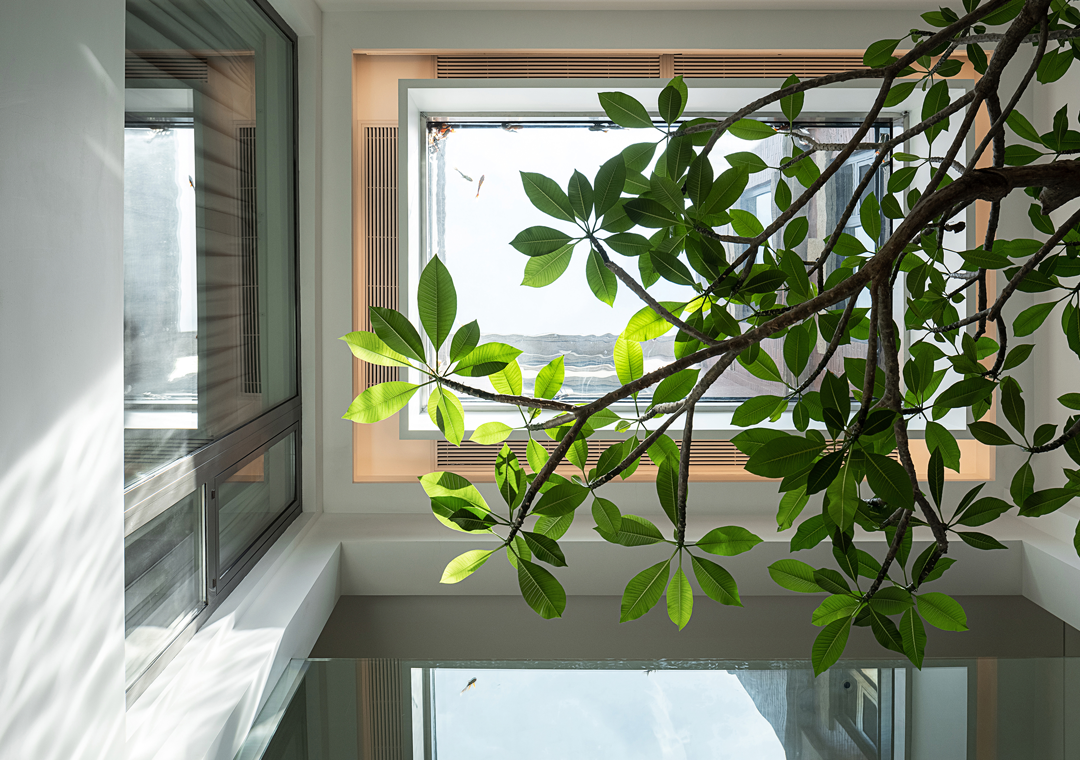 二十四院丨中国南京丨陈熠,肖锋-73