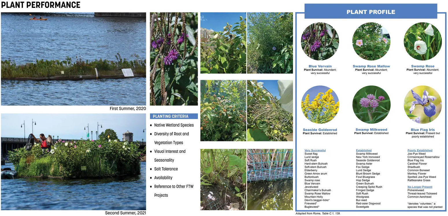 查尔斯河浮动湿地试点项目丨美国波士顿丨Sasaki Associates,Inc.等-34