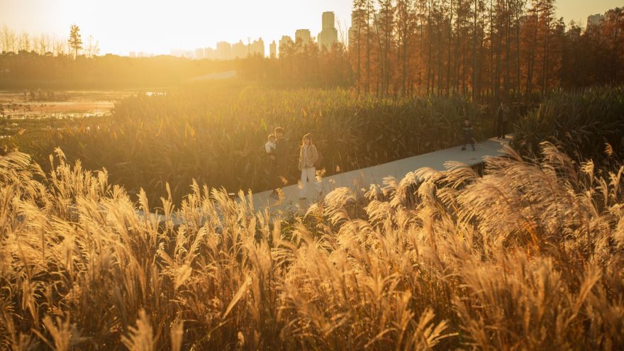 鱼尾巴公园(Fish Tail Park)丨中国南昌丨北京土人景观(Turenscape)-28