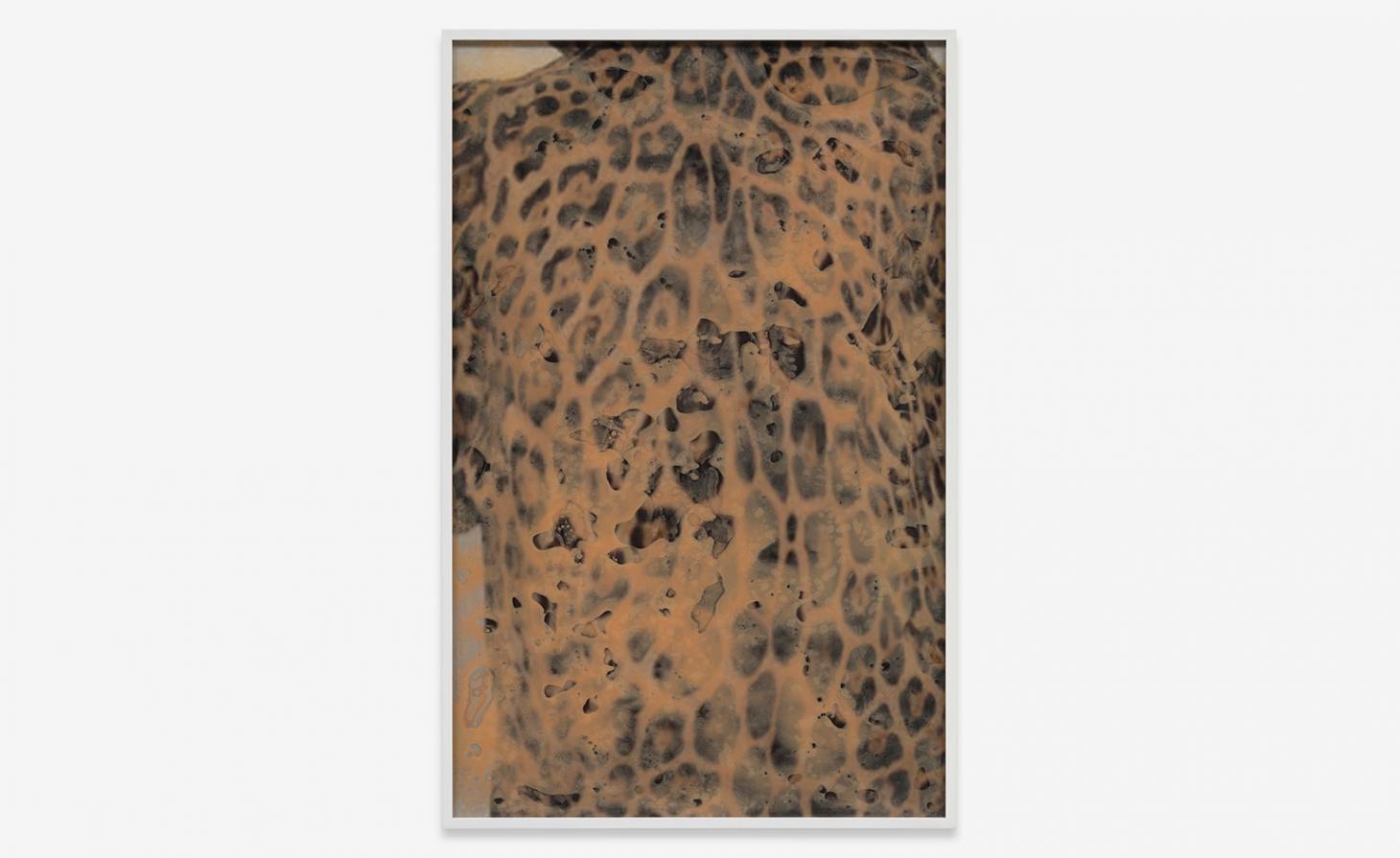 罗森克兰兹柏林个展 · “她没有嘴”,探讨猫与人共生关系-14