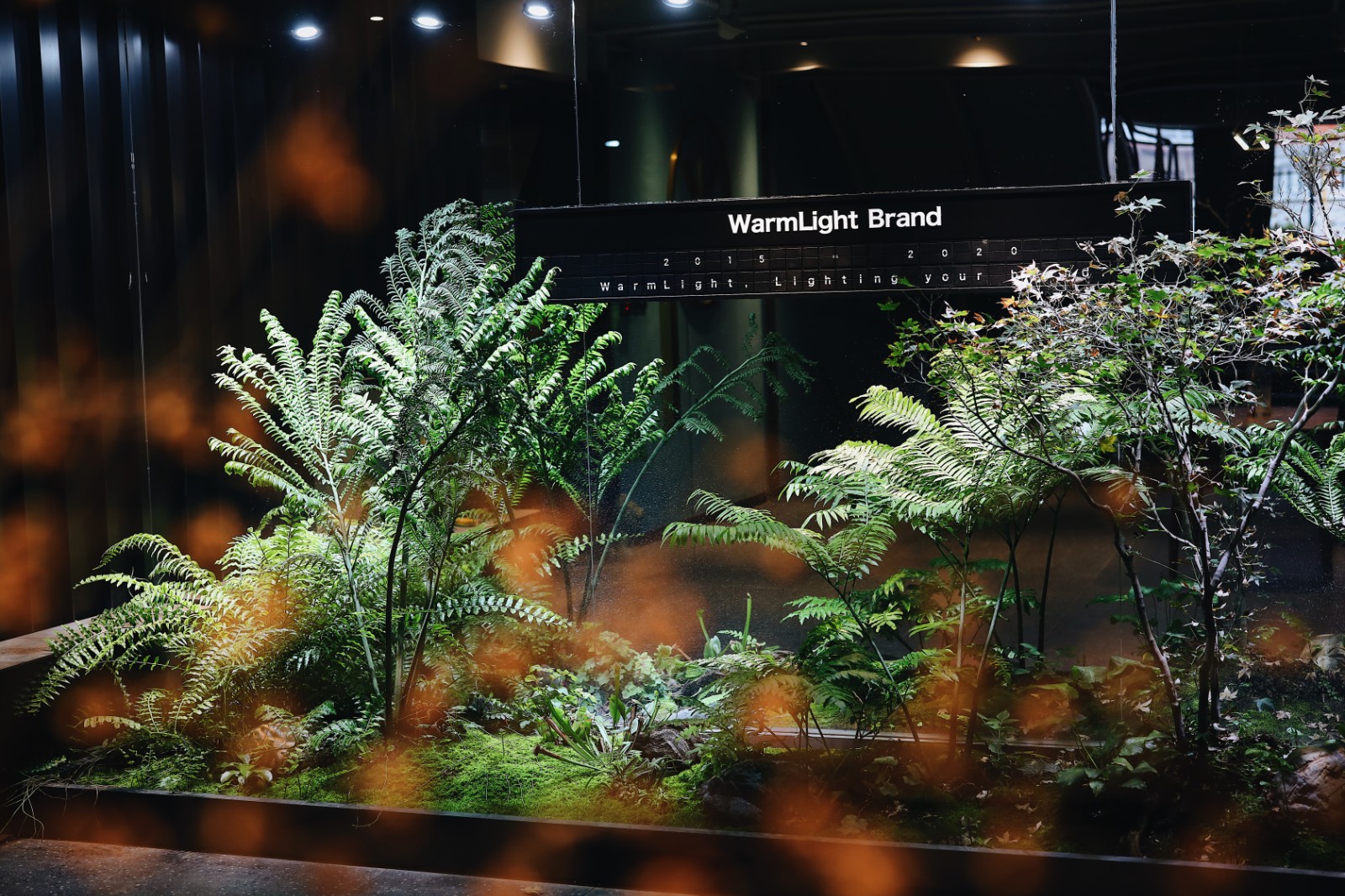 暖光设计公司办公室丨中国泉州-25