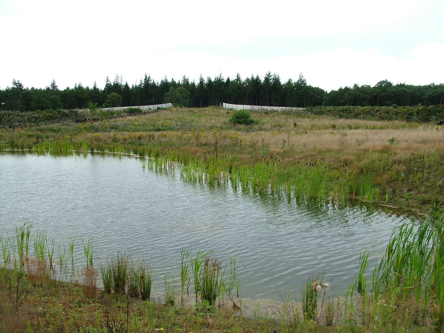 博克尔德野生动物穿越区丨ZJA I Architects & Engineers-19