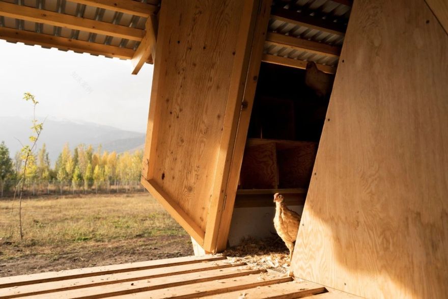 鸡舍丨土耳其埃尔津詹丨SO? Architecture and Ideas-20