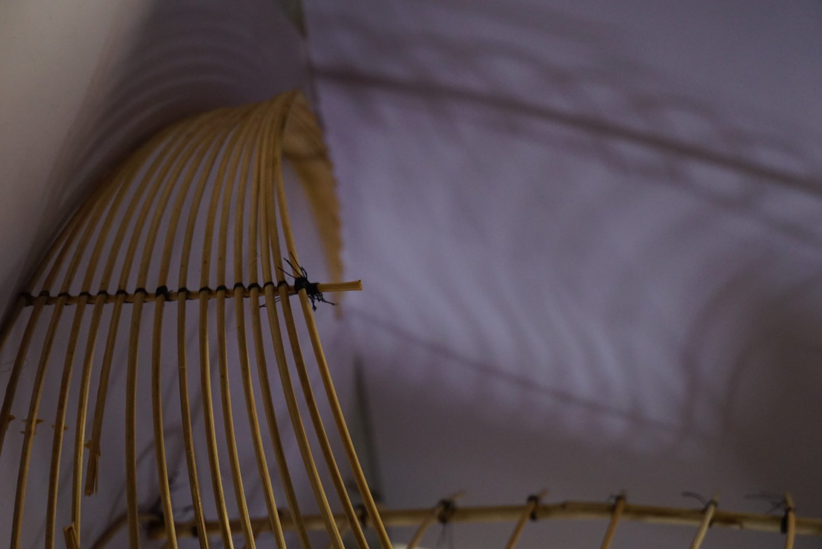 Bamboo Expo Competition 2025-6