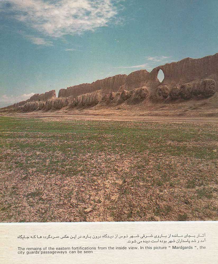 哈菲兹陵园及周边景观改造项目丨伊朗-11