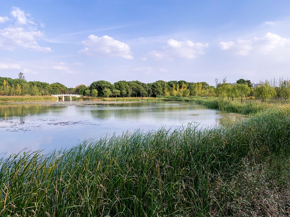 昆山市城市生态森林西入口丨中国鞍山丨PLAT Studio-21