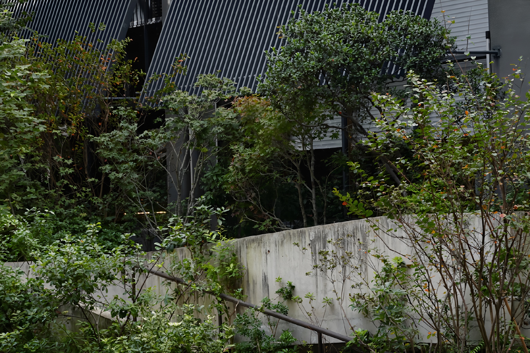 深圳茅台鉴藏馆丨中国深圳丨BLOOMDESIGN绽放设计-14