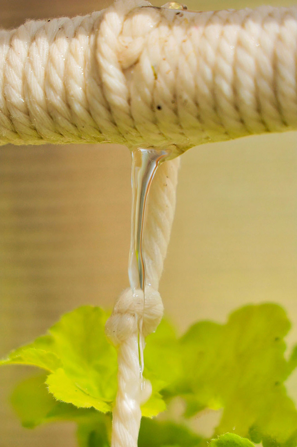 巡圃丨中国北京丨北林风景建筑研究中心—段威工作室-140