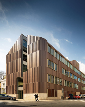 Redbridge School / ARX Portugal Arquitetos